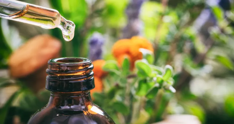 les-huiles-essentielles-au-jardin-des-astuces-insoupconnees-pour-une-verdure-epanouie
