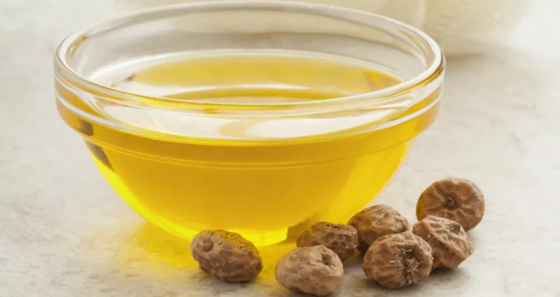 huile-de-souchet-l-arme-secrete-contre-les-poils-astuces-anti-age-et-cuisine