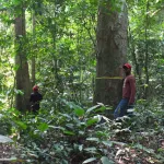 lutte-contre-le-changement-climatique-la-cote-d-ivoire-enregistre-la-reduction-de-sept-7-millions-de-carbone