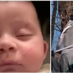 insolite-un-bebe-de-quatre-mois-emporte-par-une-tornade-retrouve-sain-et-sauf-dans-un-arbre