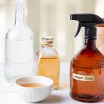 odeurs-nauseabondes-3-recettes-maison-de-desodorisants-naturels-a-essayer-absolument