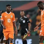 can-2023-le-ministre-de-la-securite-met-en-garde-elephants-evitez-cote-d-ivoire-84-bis