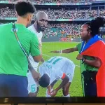 can-2023-les-elephants-reproduisent-le-scenario-de-1984