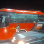 affaire-le-car-des-elephants-attaque-ce-que-l-on-sait