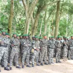 recrutement-d-agents-des-eaux-et-forets-niveau-bepc-criteres-de-selection-et-places-disponibles