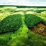 changement-climatique-et-developpement-durable-l-afrique-s-engage-vers-une-economie-verte