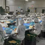 filiere-anacarde-les-defis-et-enjeux-presentes-lors-de-la-journee-nationale-des-exportateurs-de-cajou