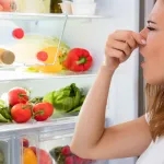 alimentation-5-aliments-surprenants-qui-impactent-votre-odeur-corporelle