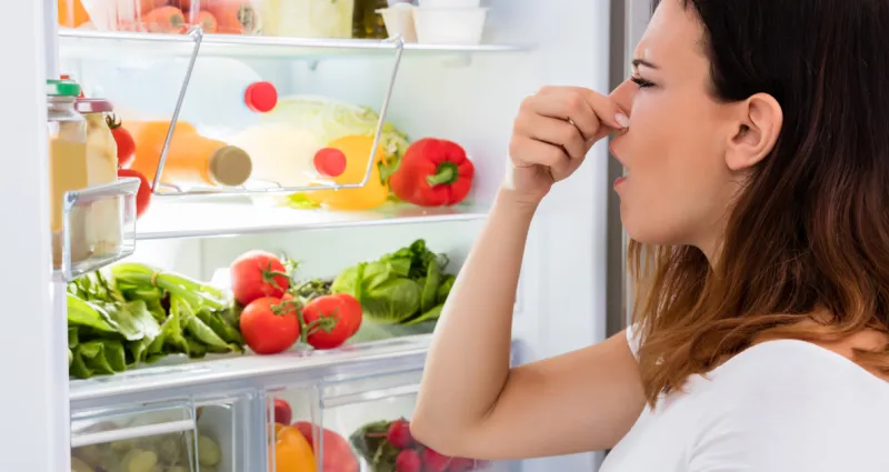 alimentation-5-aliments-surprenants-qui-impactent-votre-odeur-corporelle