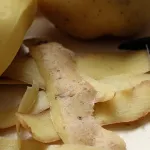 entretien-cuisine-la-recette-secrete-du-liquide-vaisselle-magique-a-base-d-epluchures-de-pommes-de-terre