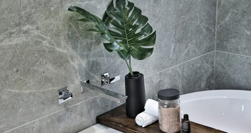 interieur-decouvrez-ces-4-plantes-revolutionnaires-pour-une-salle-de-bain-plus-saine