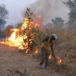 bangolo-un-planteur-met-le-feu-a-sa-parcelle-et-perit-dans-l-incendie