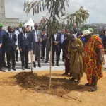 habitat-ecologique-des-promoteurs-immobiliers-mettent-sous-terre-le-premier-arbre-de-la-ville-de-demain