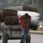 cisse-bacongo-interdit-les-charrettes-wottro-la-mendicite-et-le-commerce-ambulant-a-abidjan