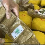 senegal-un-scandale-transfrontalier-apres-une-saisie-de-plus-de-3-tonnes-de-drogue