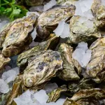 recyclage-6-astuces-insolites-pour-transformer-vos-coquilles-d-huitres-en-tresors-utiles