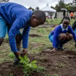 environnement-le-kenya-lance-une-offensive-decennale-de-15-milliards-d-arbres-a-planter