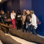 art-contemporain-la-cote-d-ivoire-celebre-sa-5eme-participation-a-la-biennale-de-venise