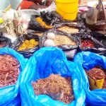 cote-d-ivoire-la-sante-des-populations-menacee-par-la-proliferation-des-medicaments-traditionnels-falsifies