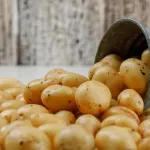 la-revue-de-l-actualite-internationale-diomaye-faye-dans-l-espace-aes-franc-cfa-et-terrorisme-au-menu