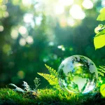 tour-d-horizons-l-environnement-a-la-une-l-anc-en-difficulte-et-la-coree-du-sud-encore-plus-proche-de-l-afrique