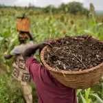 agriculture-trois-grandes-institutions-veulent-renforcer-la-resilience-alimentaire-en-afrique-de-l-ouest