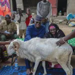 tabaski-a-korhogo-le-maire-lacina-ouattara-lass-pr-fait-d-importants-dons-aux-populations