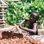 la-revue-de-l-actualite-internationale-travail-des-enfants-douane-de-la-cedeao-en-reunion-cessez-le-feu-a-gaza