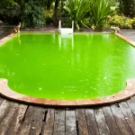 piscine-degoutante-la-solution-de-mamie-pour-transformer-sa-piscine-en-paradis-aquatique