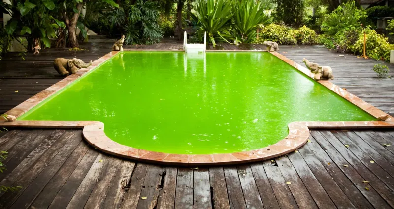 piscine-degoutante-la-solution-de-mamie-pour-transformer-sa-piscine-en-paradis-aquatique