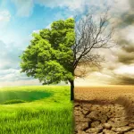 journee-mondiale-de-lutte-contre-la-desertification-unis-pour-les-terres-notre-patrimoine-notre-avenir