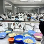 transformation-de-la-noix-de-cajou-une-nouvelle-usine-inauguree-a-odienne
