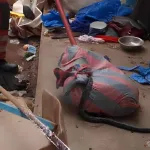 abengourou-un-serpent-s-introduit-dans-les-locaux-de-la-mairie-les-pompiers-civils-le-capturent-et-le-relachent