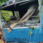 accident-a-man-4-femmes-et-1-hommes-perdent-la-vie-dans-un-vehicule-de-transport-de-marchandises