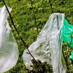 la-revue-de-l-actualite-internationale-sans-sacs-plastiques-rn-talon-en-difficulte-scrutin-britannique