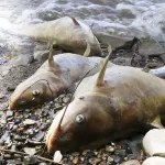 185-personnes-intoxiquees-a-zouan-hounien-ce-qui-s-est-reellement-passe