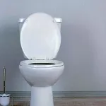 toilette-fraiche-la-revelation-inattendue-pour-des-toilettes-toujours-fraiches-et-parfumees