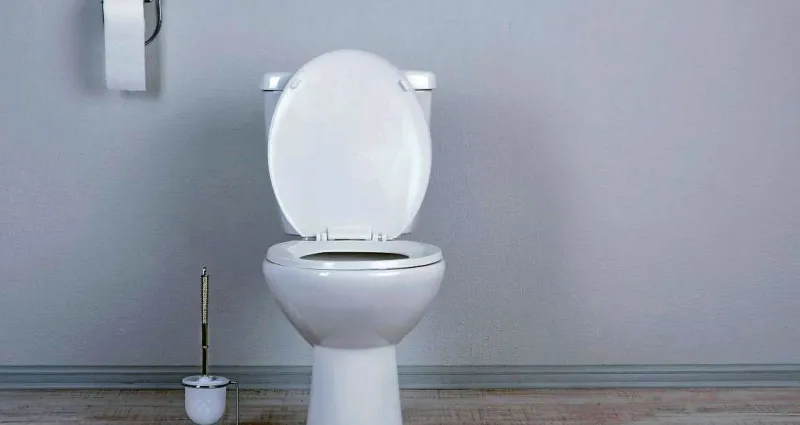 toilette-fraiche-la-revelation-inattendue-pour-des-toilettes-toujours-fraiches-et-parfumees