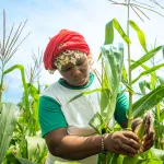 l-autonomisation-economique-des-femmes-cle-de-l-egalite-des-sexes-et-de-la-croissance-inclusive