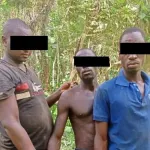 foret-classee-de-mopri-3-individus-interpelles-en-plein-defrichement-et-destruction-avec-des-produits-chimiques