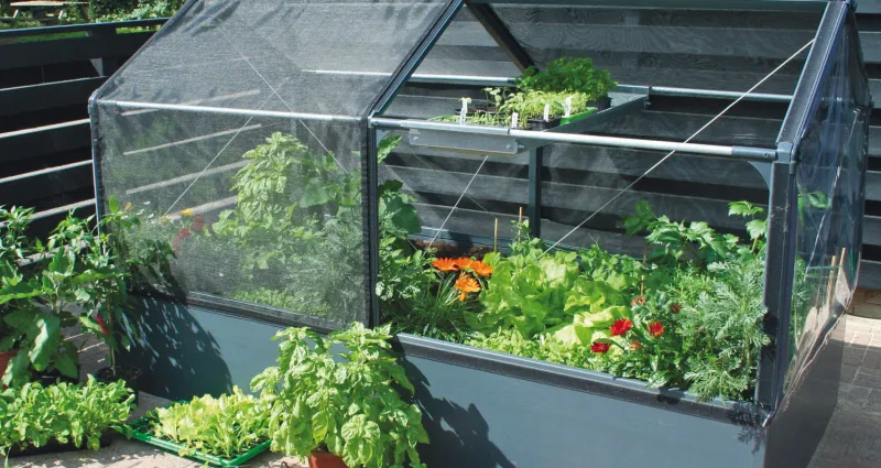 jardinage-6-bonnes-raisons-de-faire-son-propre-potager-a-la-maison