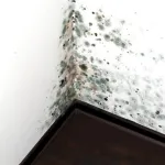 adieu-a-l-humidite-decouvrez-comment-fabriquer-votre-propre-deshumidificateur-naturel-a-moindre-cout