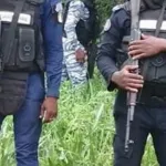 dabou-un-malfaiteur-agissant-en-tenue-militaire-arrete-dans-un-bistrot-par-la-gendarmerie