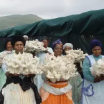 rwanda-l-impact-de-la-technique-juncao-une-vertu-pour-l-entrepreneuriat-agricole