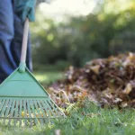 jardin-guide-pratique-pour-entretenir-votre-pelouse-de-maniere-ecologique