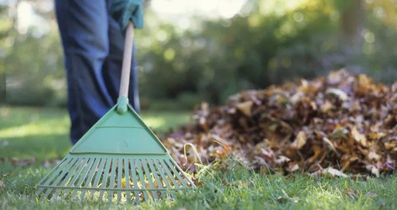 jardin-guide-pratique-pour-entretenir-votre-pelouse-de-maniere-ecologique