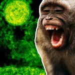 mpox-ou-variole-du-singe-une-menace-emergente-en-afrique-et-dans-le-monde
