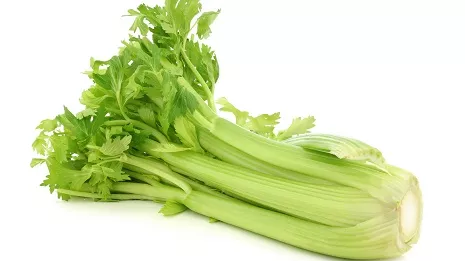 céléri
