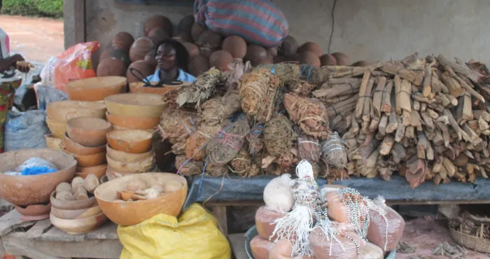 consommation-medicale-et-medecine-traditionnelle-en-afrique-probleme-pose-et-solution-d-avenir
