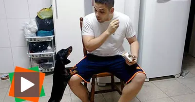 une-technique-geniale-pour-faire-prendre-un-medicament-a-son-chien